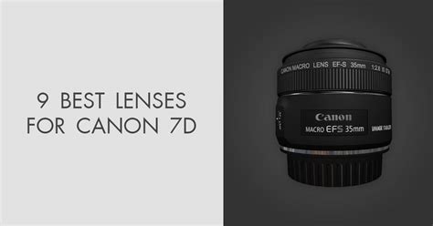 9 Best Lenses For Canon 7d In 2025