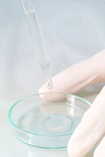 Scientist Pipetting Sample Petri Dish Laboratory Stock Photo By