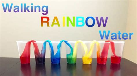 Walking Rainbow Water Easy Science Experiment 5 Min Activity Youtube