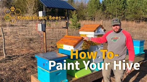 How To Paint A Bee Hive What Paint Technique Backyard Beekeeper