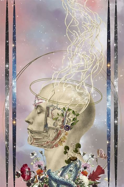 Awakening Anatomical Collage Art By Bedelgeuse Collages Collage