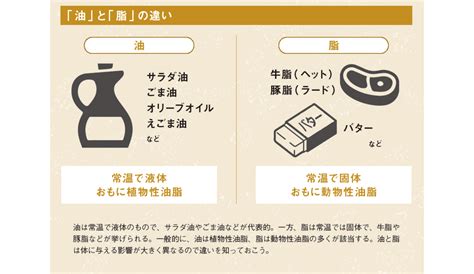 体に与える影響が大幅に異なる「油」と「脂」の違いとは！？【図解 脂質の話】｜ニフティニュース