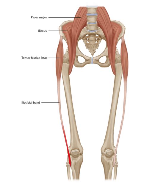 Iliotibial Band Diagram It Band Syndrome Symptoms And Treat