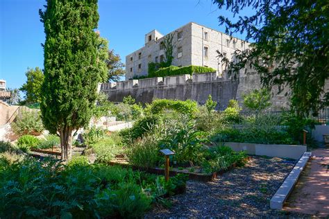 7 méthodes de culture pour un jardinage écologique Centre National de