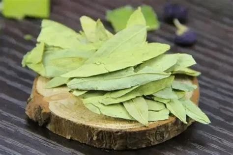 What Are The Benefits Of Drinking Senna Leaf Tea