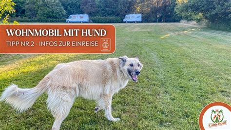 Wohnmobil Mit Hund Tipps F R Camper Mit Hund