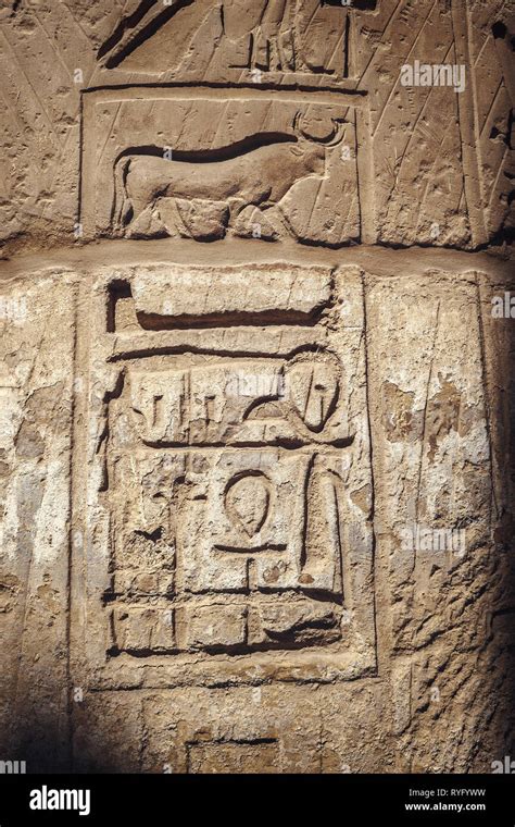 Tallas de jeroglíficos en las ruinas del templo de Karnak Luxor