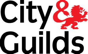 City And Guilds Functional Skills Maths Level 1 Past Papers