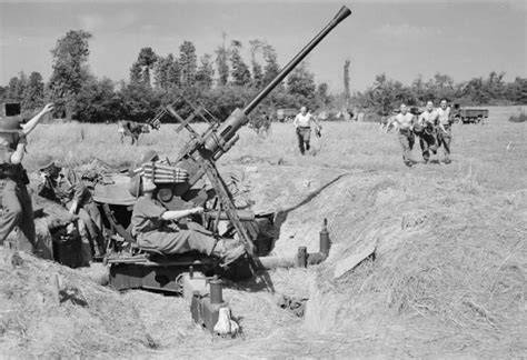 40mm Bofors Raf In Normandy 1944 Bofors 40 Mm Gun Pinterest