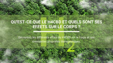 Qu Est Ce Que Le H4CBD Et Quels Sont Ses Effets Sur Le Corps