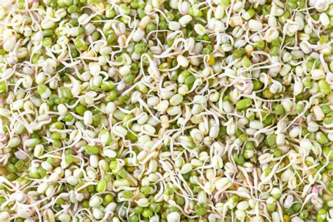 What Is The Nutritional Value Of Green Gram Sprouts Per 100g And Is