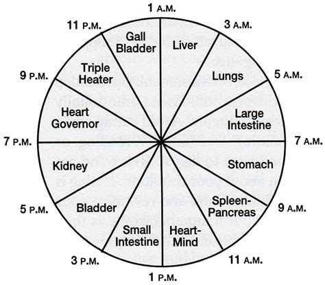 The Chinese Clock | Primrose's Kitchen