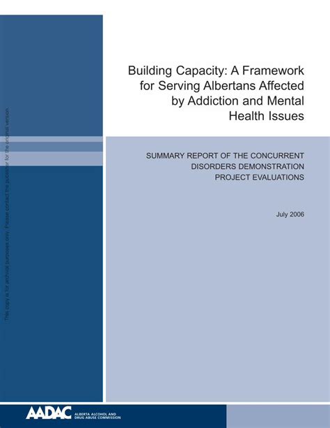 PDF Building Capacity A Framework For Serving Building Capacity A