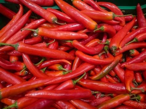 ¿cómo Se Llama El Chile Guajillo Fresco