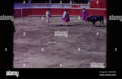 Bull Fight Ring Stock Videos And Footage Hd And 4k Video Clips Alamy