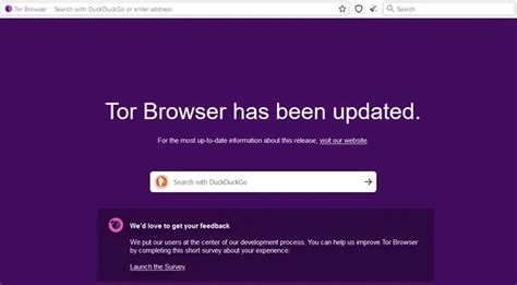 4 Best FREE VPNs For Tor Browser 2024