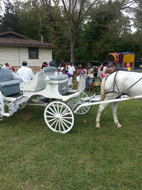 Horse Carriage Rides Texas Wedding Horse Carriage Horse Drawn