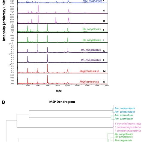 Comparison Of Male And Female Maldi Tof Ms Spectra From Two Different Download Scientific