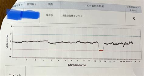 【2人目不妊治療】採卵周期④pgt A結果 40代看護師 初めての妊娠・育児記録