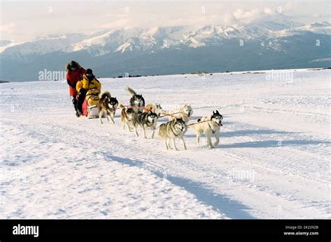 WALKER,GREENWOOD, EIGHT BELOW, 2006 Stock Photo - Alamy