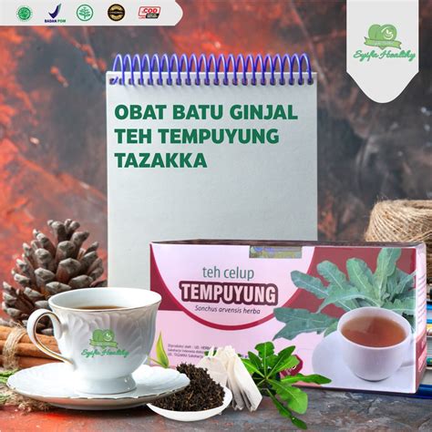 Jual Obat Batu Ginjal Alami Dan Teh Herbal Tempuyung Isi 20 Kantung