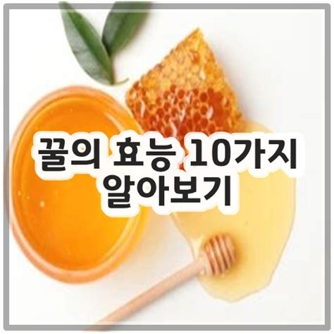 꿀의 효능 10가지 알아보기