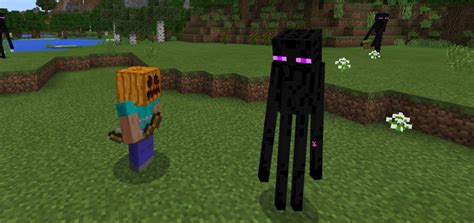 Enderman Pet Add-on | Minecraft PE Mods & Addons