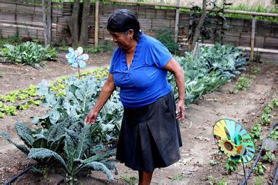 Un Proyecto De Agricultura Urbana Participativa En Quito Ecuador