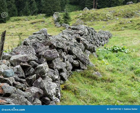 Natural Stone Fence On Mountain Pasture Stock Photo Image Of Forest