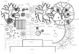 Basic Landscape Design - Urban Programs Travis County