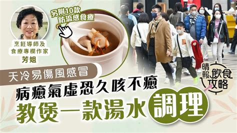 飲食攻略｜天冷易傷風感冒 病癒氣虛恐久咳不癒 教煲「花旗參鮮石斛老黃瓜湯」益氣生津【另附10款防流感食療】 晴報 健康 中醫養生