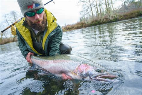 Wynoochee River Fishing Guide Book