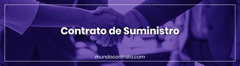 Introducir 57 Imagen Modelo Contrato Suministro Abzlocal Mx