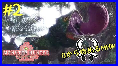 シャルっとmhw！0から始めるモンハンワールド！act2 モンハンワールド モンハンアイスボーン シャルっと配信 Youtube