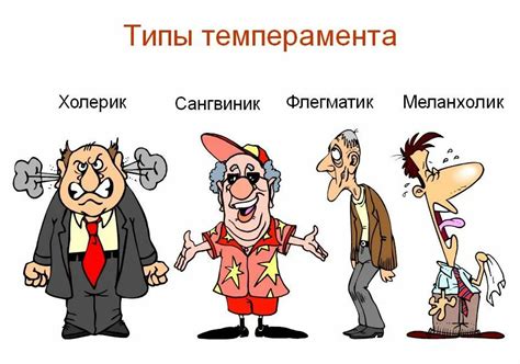 Какие бывают типы темперамента человека | Саморазвитие, успех - Жизнь ...