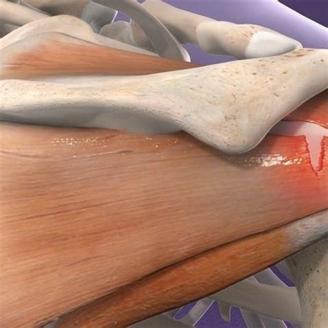 Sıkça Sorulan Sorular Op Dr Haldun Seyhan