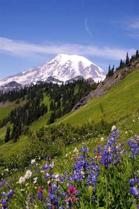 Tatoosh Ridge Scenic Photos Packwood Beautiful Mountains