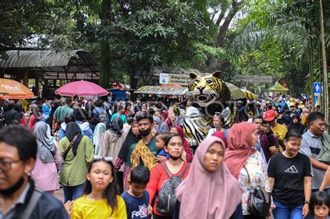 Taman Margasatwa Ragunan Padat Pengunjung Antara Foto