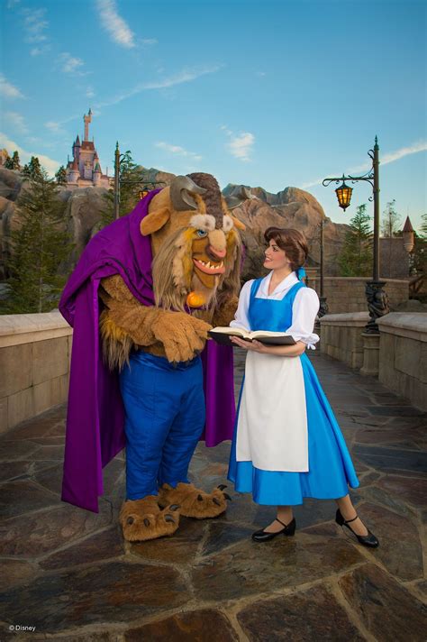 Belle And Beast From Beauty And The Beast Disney Face Characters