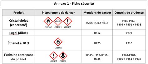 Coloration De Gram