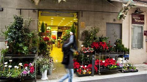 ¿por Qué Paga Más Mi Floristería Que La Terraza De Un Bar