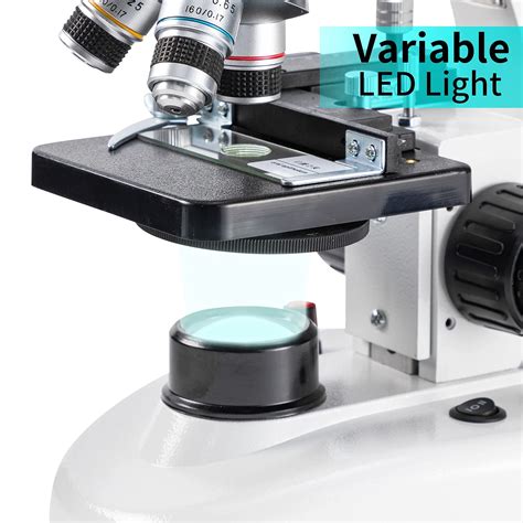 Snapklik Compound Binocular Microscope Wf X And Wf X Eyepieces