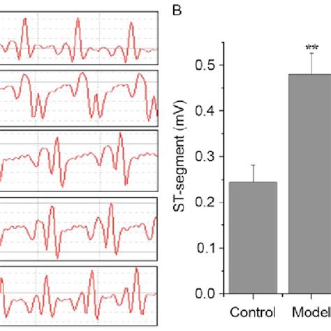 Effects Of Stp On Ck Mb And Ldh Levels In Pituitrin Induced Acute Download Scientific Diagram