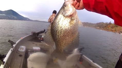 Catching Donkeys Crappie At Clear Lake Ft Fishing Fools Youtube