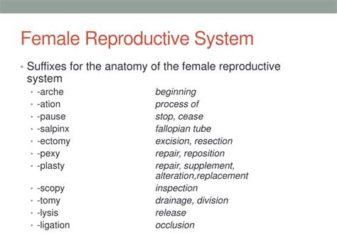 Ppt Med 103 Medical Terminology Powerpoint Presentation Id 2242698