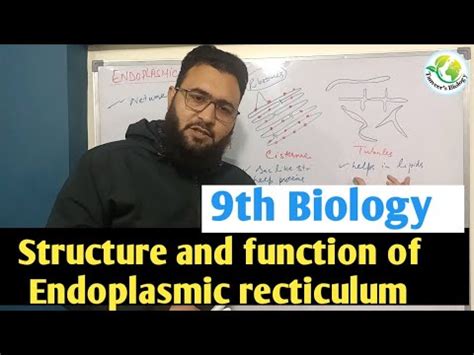 Structure And Function Of Endoplasmic Recticulum Youtube