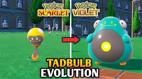 How To Evolve Tadbulb Into Bellibolt In Pokemon Scarlet And Violet