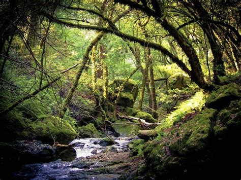 Mt Tamalpais State Park CA - Photorator