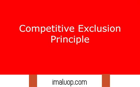 Competitive Exclusion Principle Imaluop Imaluop