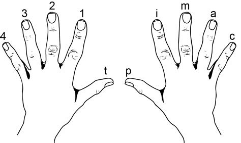 Fingering dan Membaca Not Balok Gitar Klasik untuk Pemula - PETER DE ...